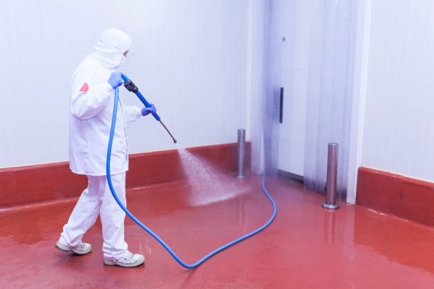 Professional Pressure Washing in Ruch, OR