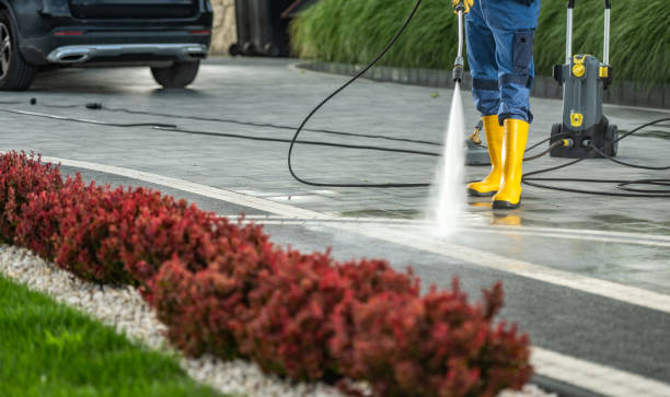 Best Gutter Cleaning  in Ruch, OR